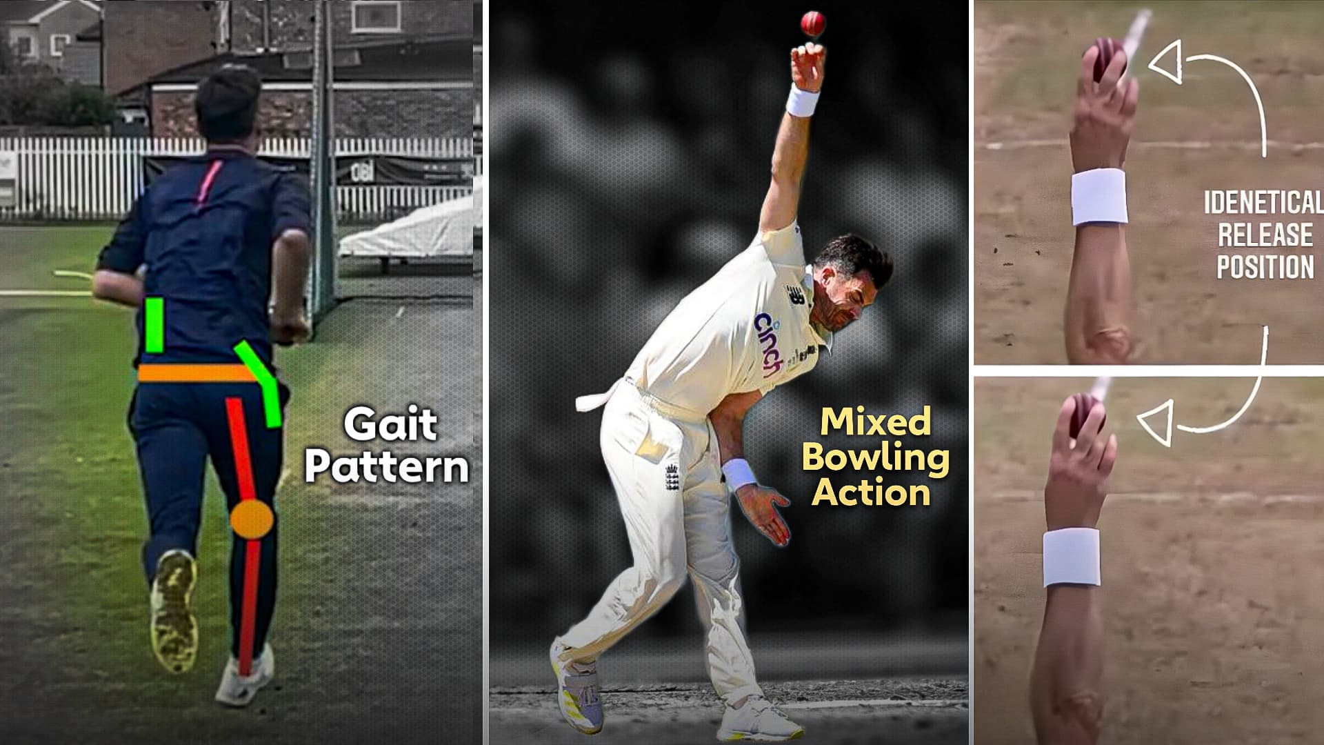 How to Do Fast Bowling in Cricket: Step-by-Step Guide for Beginners